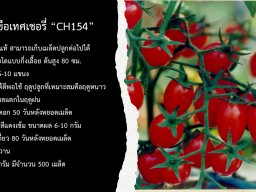 CH154