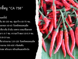 CA 758