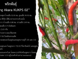 KUKPS 02