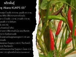KUKPS 03