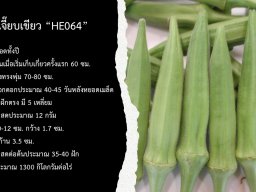 HE064